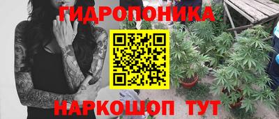 стаф Гусев