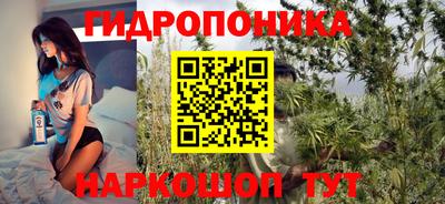 стаф Гусев